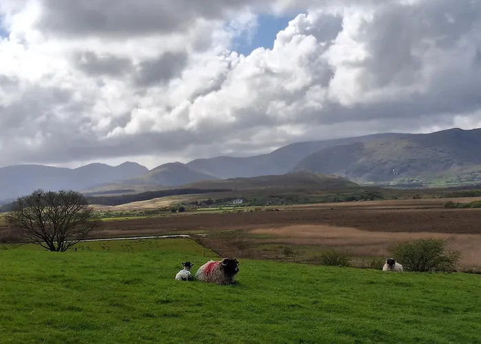 Wooly Huts Hytte Westport