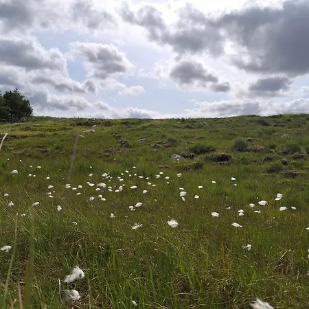 Wooly Huts Orman Evi Westport