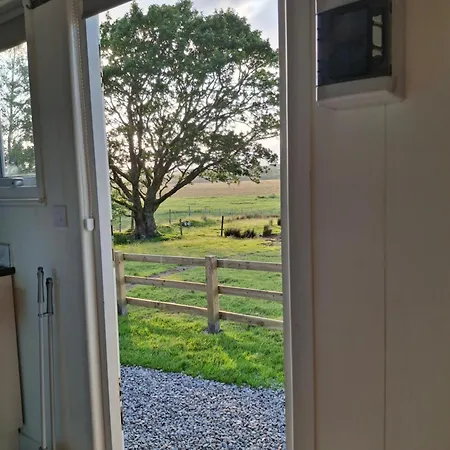 Wooly Huts *