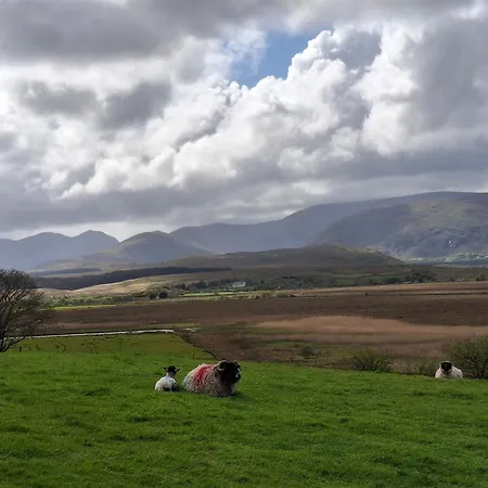 Wooly Huts Lodge Westport