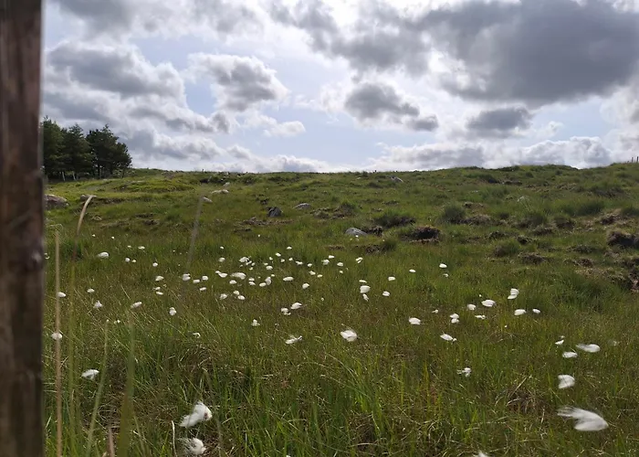 Wooly Huts Hytte Westport